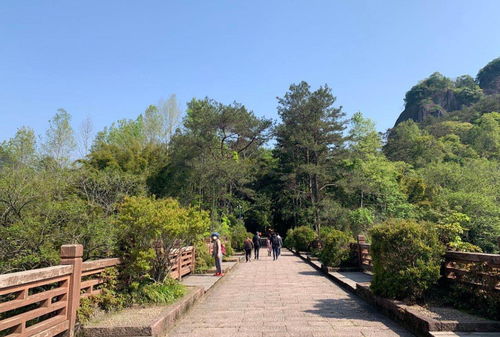 武夷山恢復開放，全國醫(yī)護人員免費游覽，多項優(yōu)惠政策助力旅游業(yè)復蘇