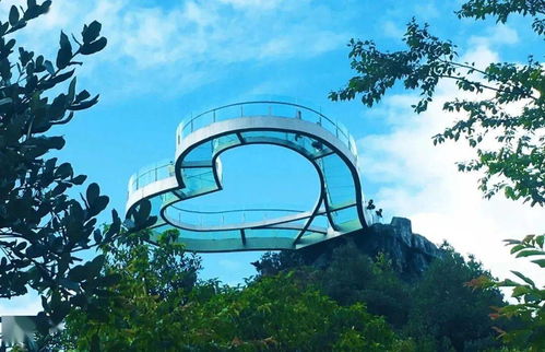 端午假期百里杜鵑游覽須知及攻略 旅行社服務網(wǎng)點旅游招徠指南