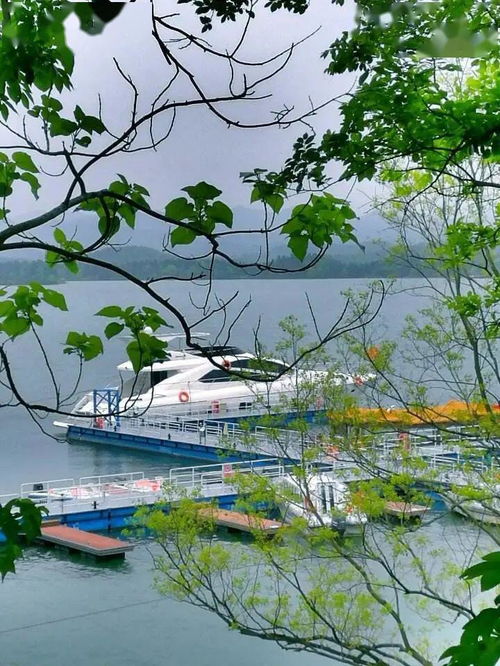 五一出游注意 安徽4A級及以上景區全部預約，旅行社服務網點規范招徠