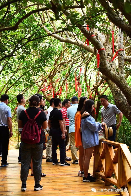 上海春秋總部高層率各地分部管理層考察大小洞天景區 共商全域旅游產品推廣與景區管理新思路